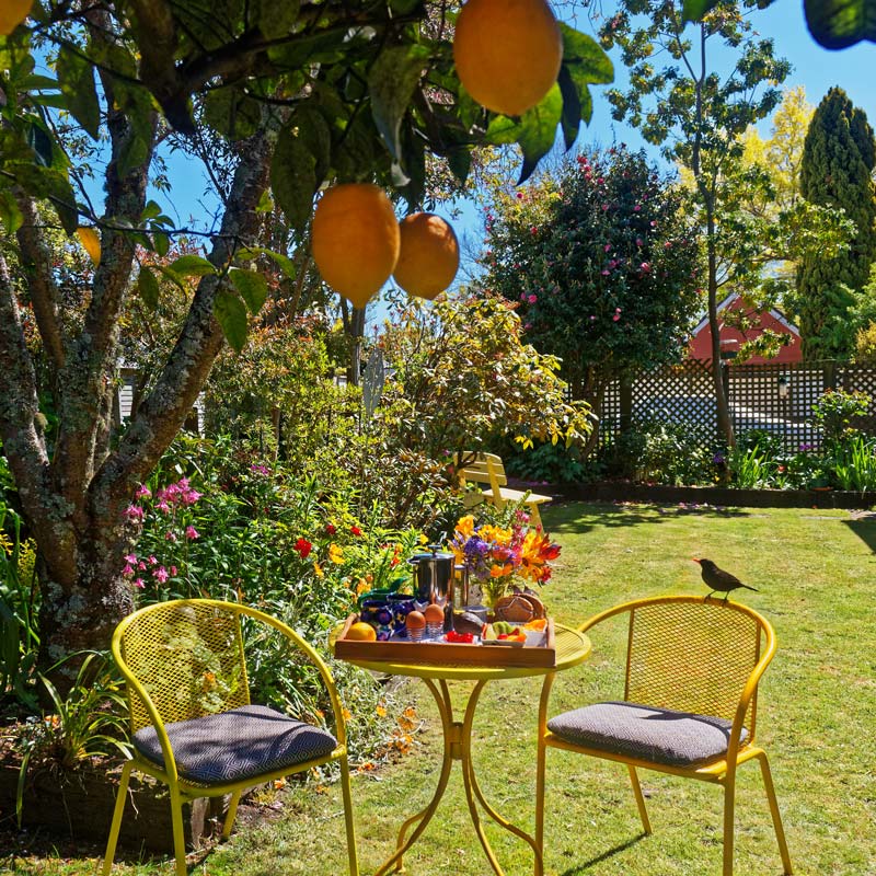 Relax in your Nelson accommodation's lovely garden